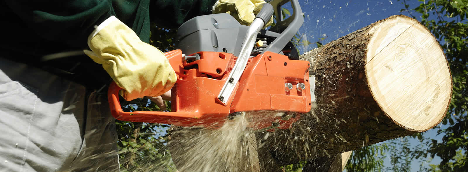 Expert tree removal and firewood services in Edmond - Professional equipment and techniques