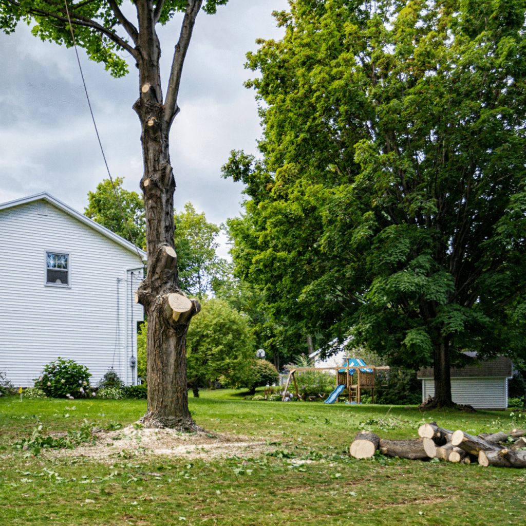 24/7 emergency storm damage tree removal in Edmond - Fast and reliable service