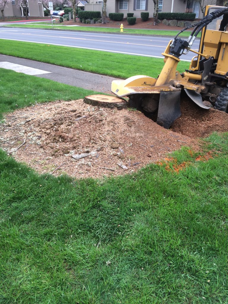 Professional stump grinding in Del City - Fast, safe, and affordable